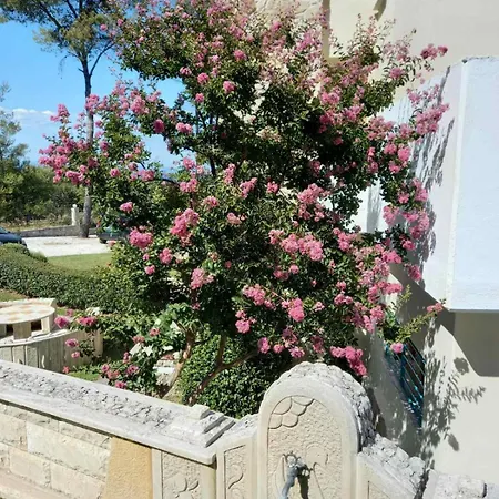 Casa vacanze Yades Elegant 2 Minutes Away From The Kallithea (Chalkidiki)